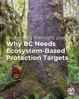 Why BC Needs Ecosystem-Based Targets 