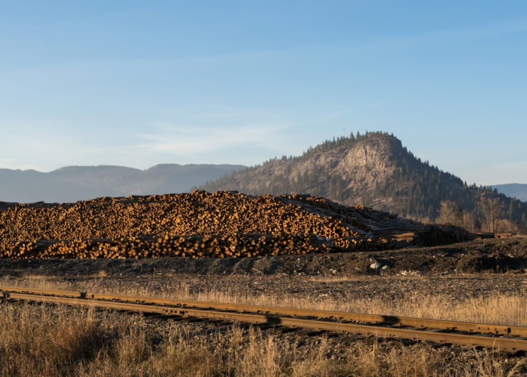 Piles of logs in Grand Forks with a train track in the foreground. 