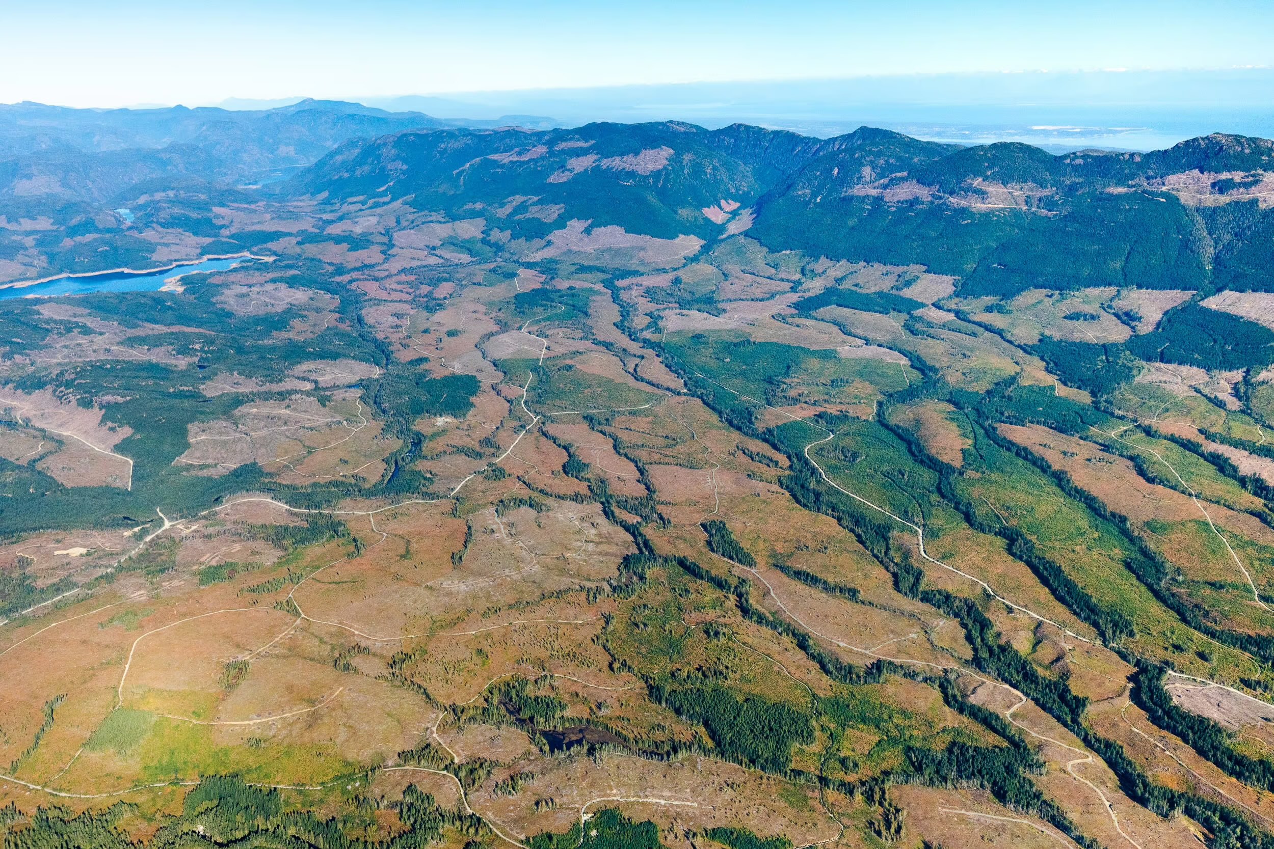 An aerial shot of a sea of clearcuts near Port Alberni