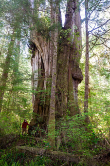 Backside of The Wall on Flores Island, BC.
