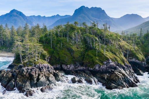 Brooks Peninsula Shoreline, taken by AFA photographer, TJ Watt