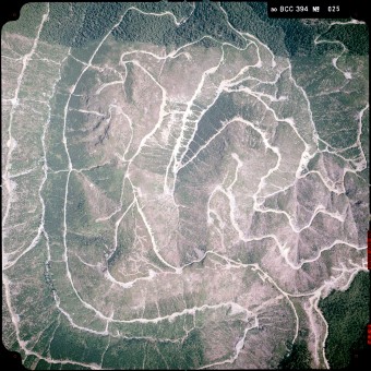 Aerial photo from 1986 showing the brutal scale of clearcut logging ajacent to the creek at that time.
