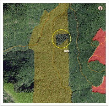 Map depicting the section of old-growth forest left out of the Wildlife Habitat Area (red hash lines) and Old-Growth Management Area (yellow/green). It only makes sense that this section should have been included as well.