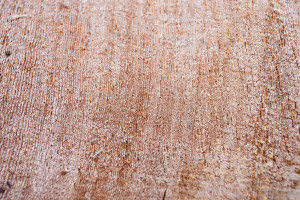 Klanawa Valley - TFL 44 - Western Forest Products