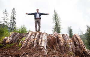 Gordon River Valley - TFL 46 - Teal-Jones