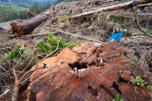 Klanawa Valley - TFL 44 - Western Forest Products