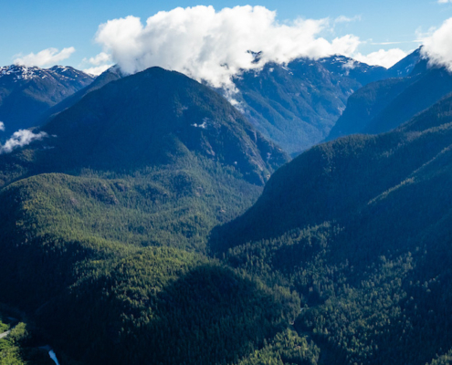 An aerial view of the intact McKelvie Valley near Tahsis