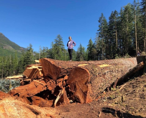 Ancient Forest Alliance campaigner Andrea Inness stands atop Canada's 9th-widest Douglas-fir tree