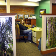 We are open everyday this week from 12:00 - 6:30 pm. We close Friday