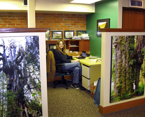 We are open everyday this week from 12:00 - 6:30 pm. We close Friday