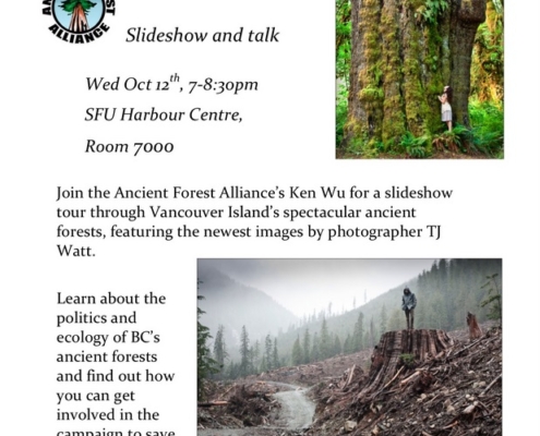 Poster - please feel free to print and pass along to anyone who might be interested!