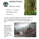 Poster - please feel free to print and pass along to anyone who might be interested!