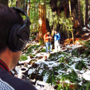 The international news group Al Jazeera filming near Canada's Gnarliest Tree in the Avatar Grove