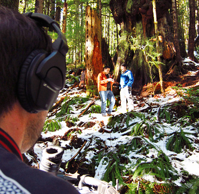 The international news group Al Jazeera filming near Canada's Gnarliest Tree in the Avatar Grove