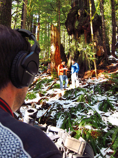 The international news group Al Jazeera filming near Canada's Gnarliest Tree in the Avatar Grove