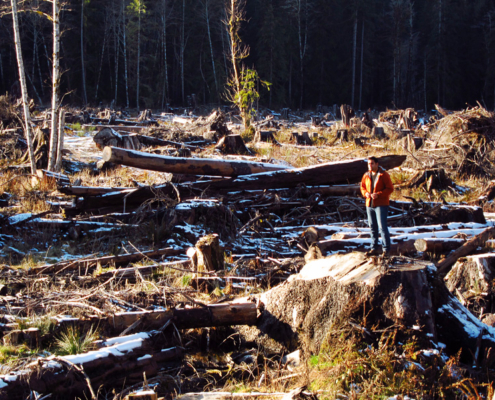 Al Jazeera's Imtiaz Tyab stands reports on BC's endangered old-growth forests while standing on a giant Sitka spruce stump in the Gordon River Valley near Port Renfrew.