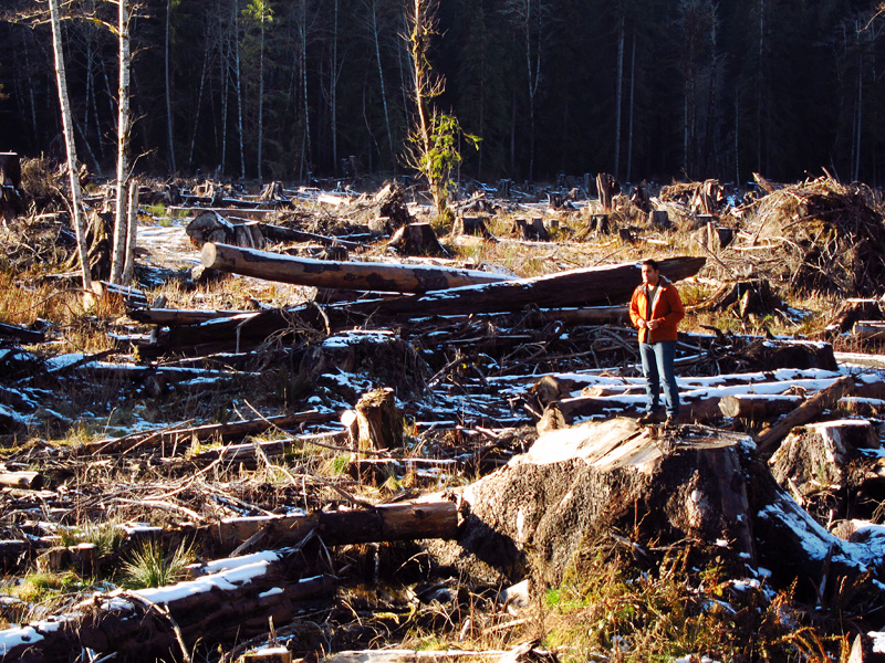 Al Jazeera's Imtiaz Tyab stands reports on BC's endangered old-growth forests while standing on a giant Sitka spruce stump in the Gordon River Valley near Port Renfrew.