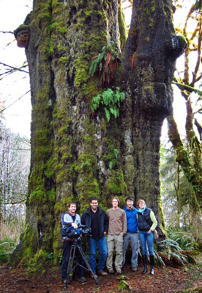 The Al Jazeera film crew and AFA activists TJ Watt and Ken Wu visit Canada's largest spruce