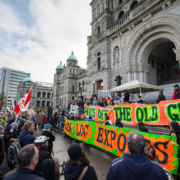Environmentalists rally with forestry workers at a rally at the provincial legislature organized by the Ancient Forest Alliance (AFA) and the Private and Public Workers of Canada (PPWC) before the 2013 provincial election.