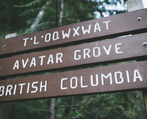 Signage at the start of the Avatar Grove trail