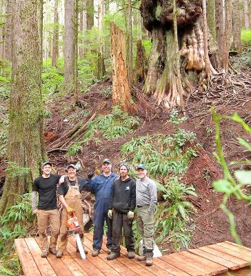AFA's TJ Watt (far left) with volunteers at the first viewing platform they built by Canada’s Gnarliest Tree in the Upper Grove of Avatar Grover in Port Renfrew.