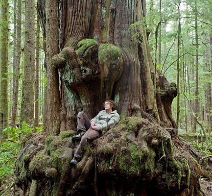 AFA Photographer TJ Watt relaxes in a giant redcedar the day he and a friend discovered the now endangered Avatar Grove.