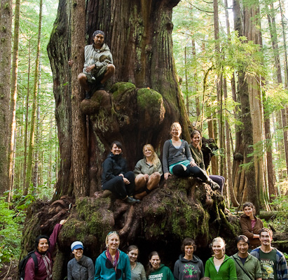 Hikers gather around the largest alien shaped cedar in the Lower Avatar Grove