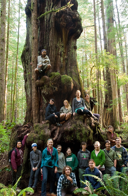 Hikers gather around the largest alien shaped cedar in the Lower Avatar Grove