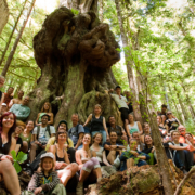 Group hike in Avatar Grove