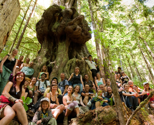 Group hike in Avatar Grove