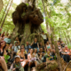 Group hike in Avatar Grove