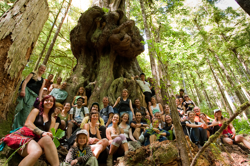 Group hike in Avatar Grove