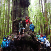UVic Law students gather around one of the giant