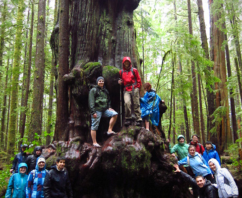 UVic Law students gather around one of the giant