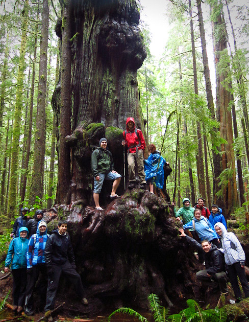 UVic Law students gather around one of the giant