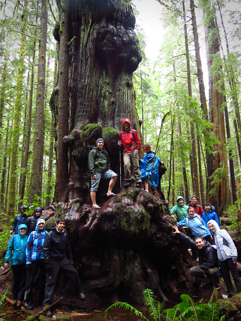 UVic Law students gather around one of the giant