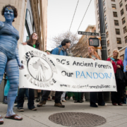 Na'vi characters rally for BC's old-growth forests on the streets and sidewalks of Vancouver.