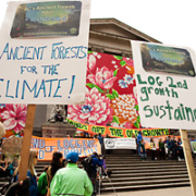 Image from Ancient Forest Alliance rally for old-growth forests and forestry jobs in Vancouver