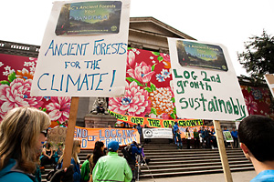 Image from Ancient Forest Alliance rally for old-growth forests and forestry jobs in Vancouver