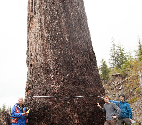Metchosin Councillor Andy Mackinnon (left) with AFA's TJ Watt and Ken Wu at Big Lonely Doug.