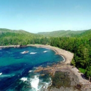 Waterfront property with old-growth forest for sale in BC's Cape Scott provincial park.