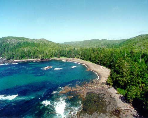 Waterfront property with old-growth forest for sale in BC's Cape Scott provincial park.