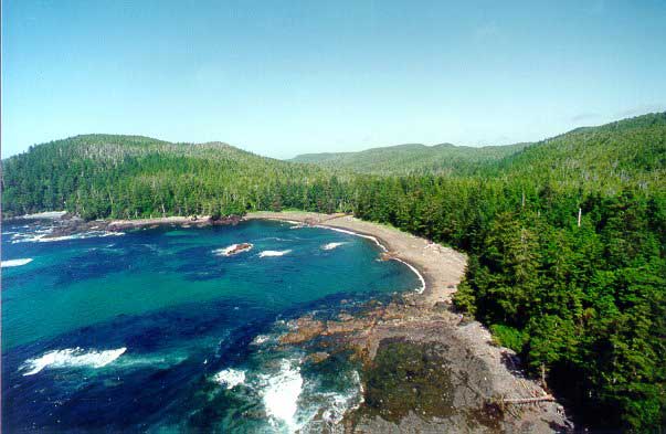 Waterfront property with old-growth forest for sale in BC's Cape Scott provincial park.