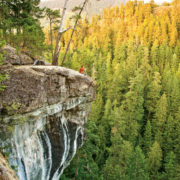 The incredible Cathedral Grove Canyon near Port Alberni is just one of many conentious areas of old-growth forest land owned by Island Timberlands.