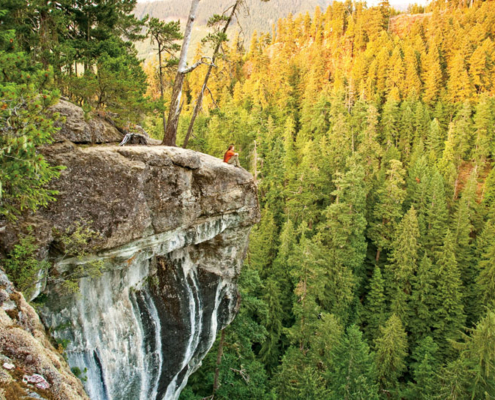 The incredible Cathedral Grove Canyon near Port Alberni is just one of many conentious areas of old-growth forest land owned by Island Timberlands.