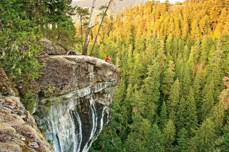 The incredible Cathedral Grove Canyon near Port Alberni is just one of many conentious areas of old-growth forest land owned by Island Timberlands.