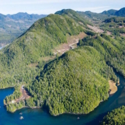 Aerial photo of East Creek logging in 2015