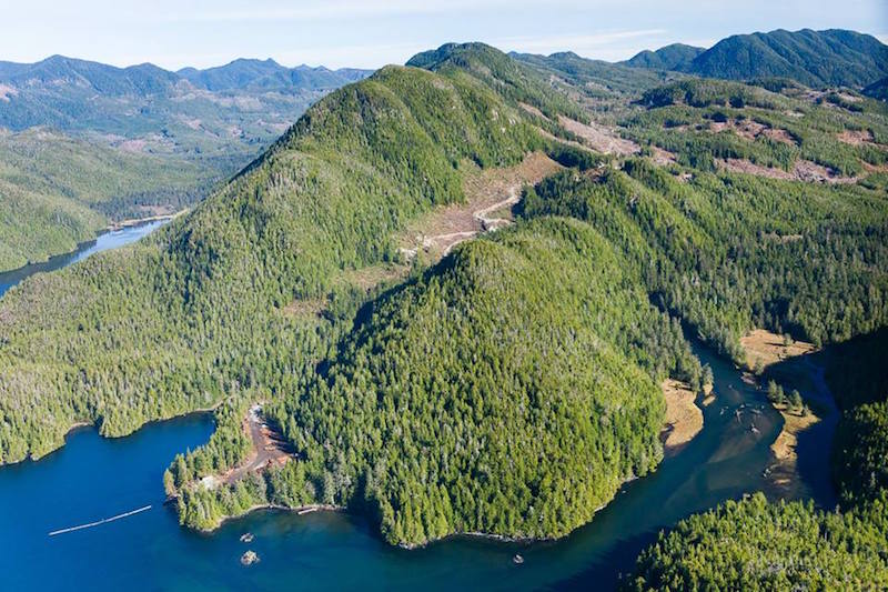 Aerial photo of East Creek logging in 2015