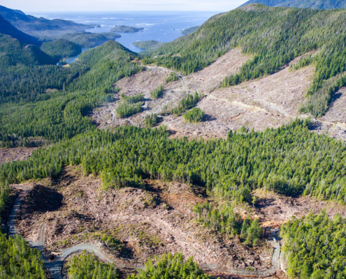 Aerial photo of East Creek logging in 2015