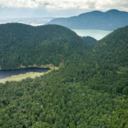 Echo Lake and the surrounding ancient forests.
